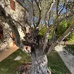 Le Residenze Degli Ulivi Resort Campofilone