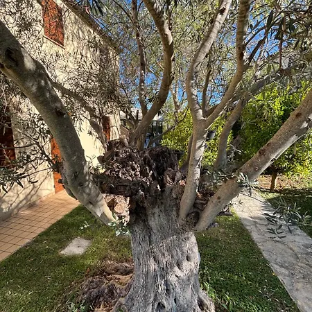 Le Residenze Degli Ulivi Θέρετρο Campofilone