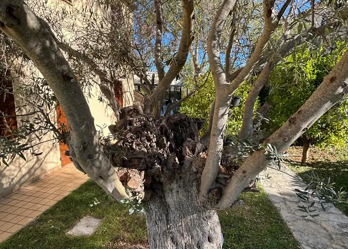Le Residenze Degli Ulivi Ośrodek wypoczynkowy Campofilone